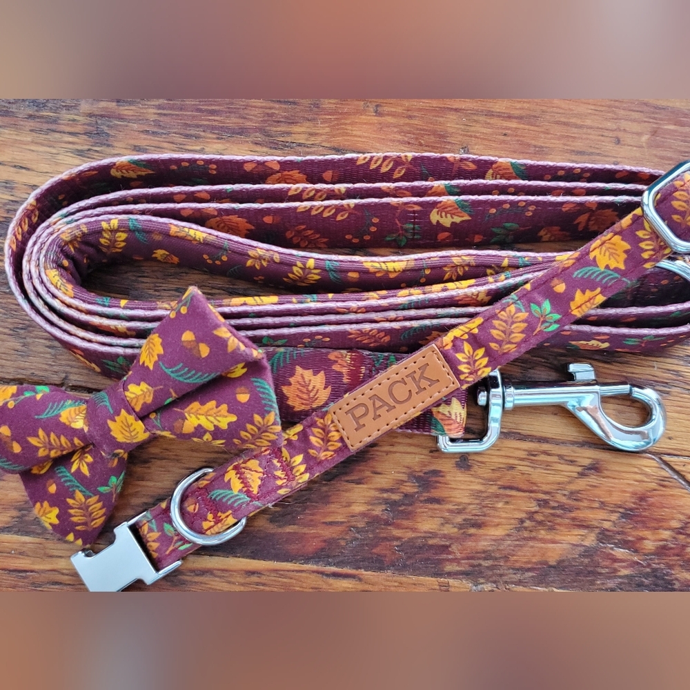 Doggie leash, collar & bowtie